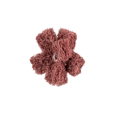 Veltinio šlifavimo ritinėlis PFERD PNST 50-2 A80